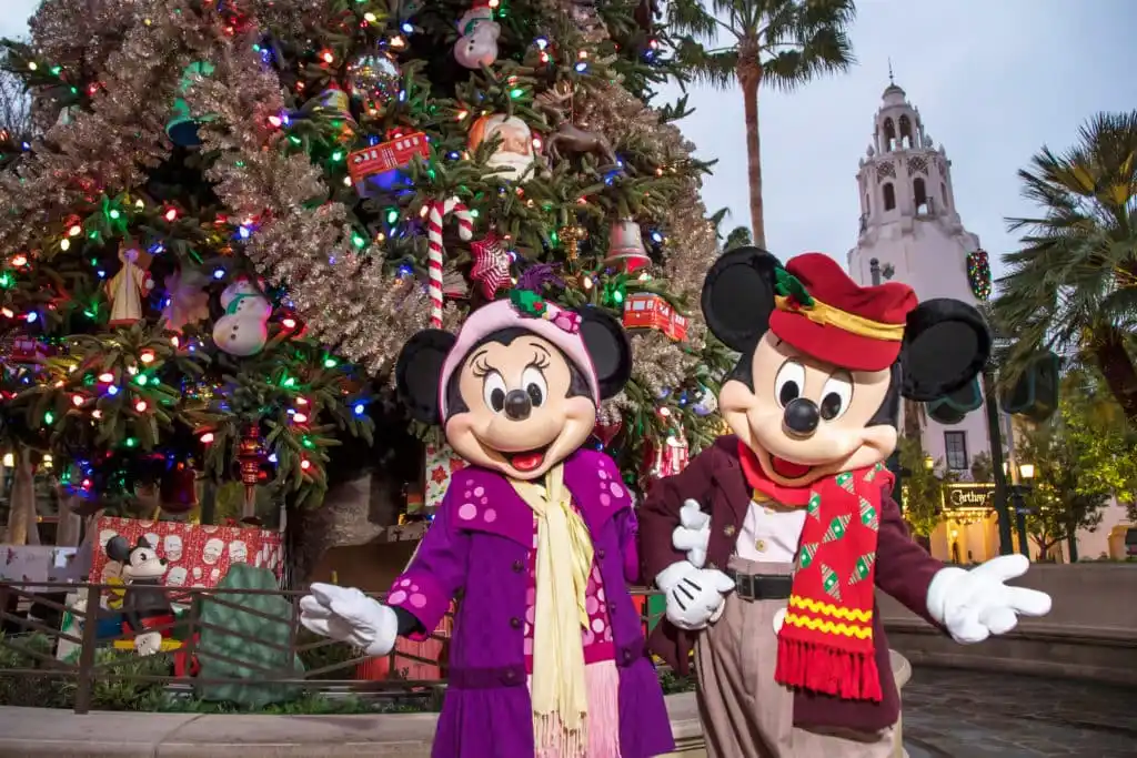  Disneyland Take Down Christmas Decorations