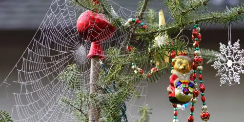 The Tradition of Creating Spider Web Decorations: