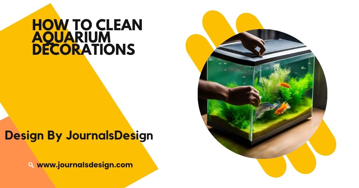 How To Clean Aquarium Decorations – Tips For Safe Fish Tank Care!