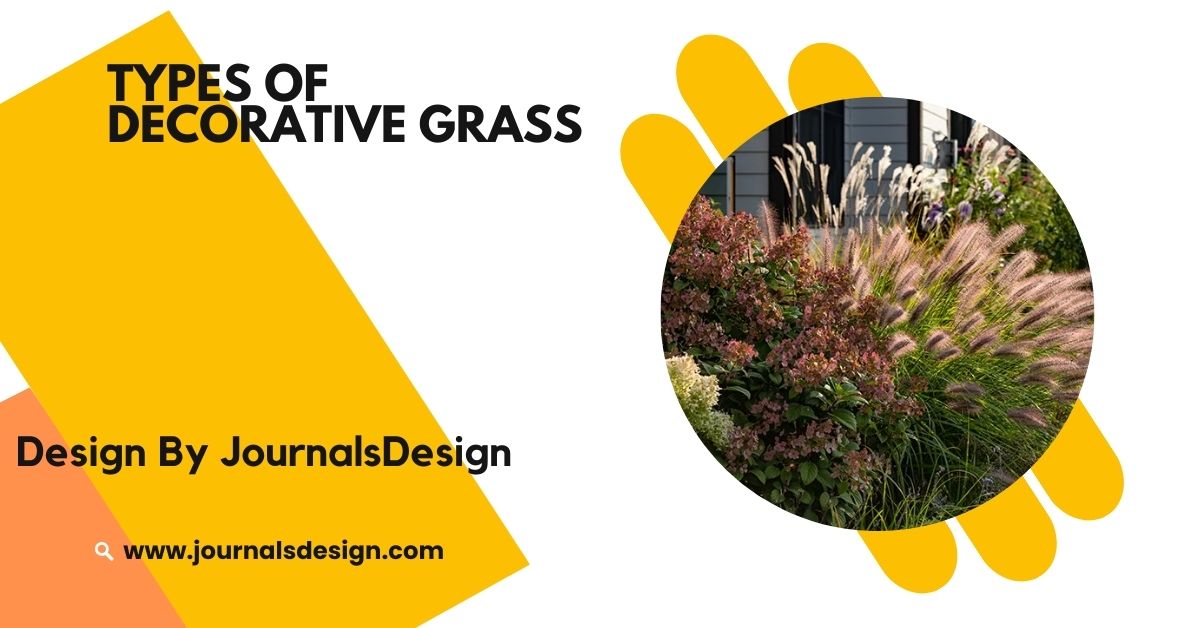 Types Of Decorative Grass – Types And Benefits!