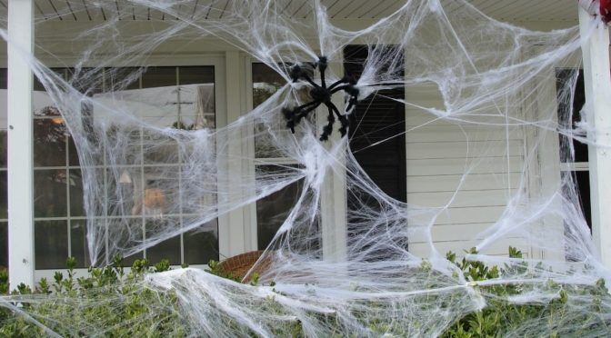 Why Use Spider Web Decorations?