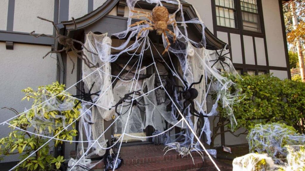 Creative Spider Web Decoration Ideas: