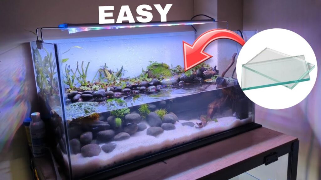 Setting Up Your Aquarium Decorations: